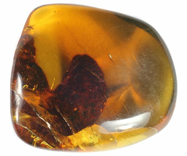 Polished Chiapas Amber With Inclusion - Mexico #50807